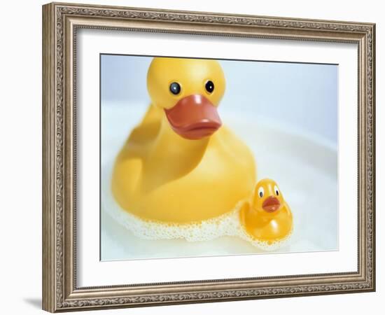 Rubber Ducks-Lawrence Lawry-Framed Photographic Print