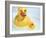 Rubber Ducks-Lawrence Lawry-Framed Photographic Print