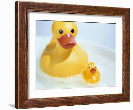 Rubber Ducks-Lawrence Lawry-Framed Photographic Print