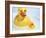 Rubber Ducks-Lawrence Lawry-Framed Photographic Print