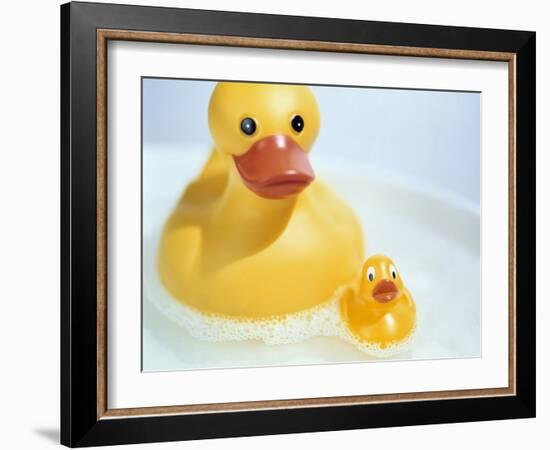 Rubber Ducks-Lawrence Lawry-Framed Photographic Print