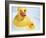 Rubber Ducks-Lawrence Lawry-Framed Photographic Print