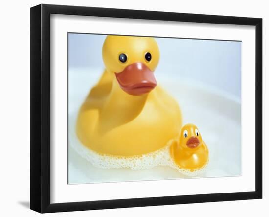 Rubber Ducks-Lawrence Lawry-Framed Photographic Print