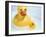 Rubber Ducks-Lawrence Lawry-Framed Photographic Print