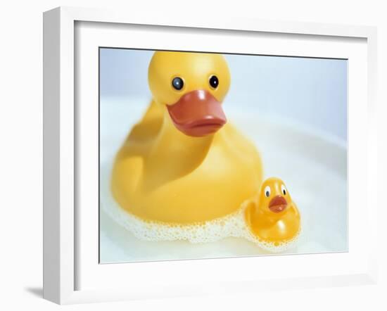 Rubber Ducks-Lawrence Lawry-Framed Photographic Print