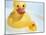 Rubber Ducks-Lawrence Lawry-Mounted Photographic Print