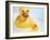 Rubber Ducks-Lawrence Lawry-Framed Photographic Print