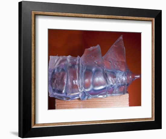 Rubber Recoil-Alan Sailer-Framed Photographic Print