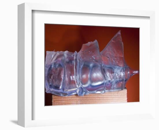 Rubber Recoil-Alan Sailer-Framed Photographic Print
