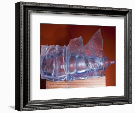 Rubber Recoil-Alan Sailer-Framed Photographic Print