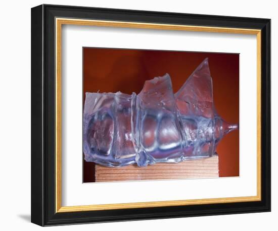 Rubber Recoil-Alan Sailer-Framed Photographic Print