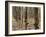 Rubber Tree Plantation-Bjorn Svensson-Framed Photographic Print