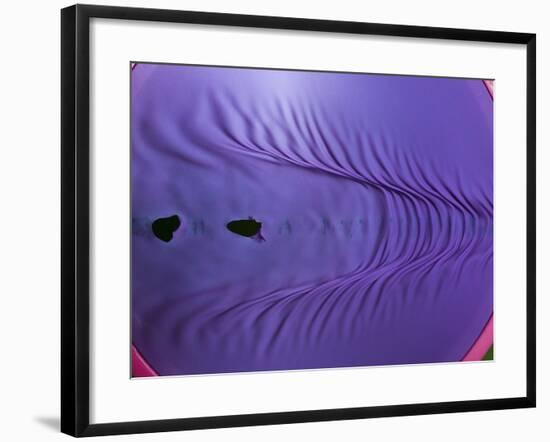 Rubber Wave-Alan Sailer-Framed Photographic Print