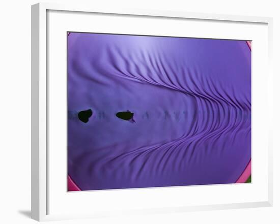 Rubber Wave-Alan Sailer-Framed Photographic Print
