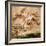 Rubens:Fall Of Icarus 1637-Peter Paul Rubens-Framed Giclee Print