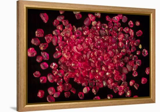 Rubies Panned From River Gravels-Vaughan Fleming-Framed Premier Image Canvas