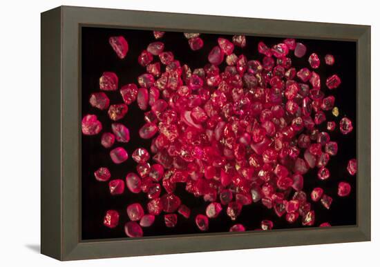 Rubies Panned From River Gravels-Vaughan Fleming-Framed Premier Image Canvas