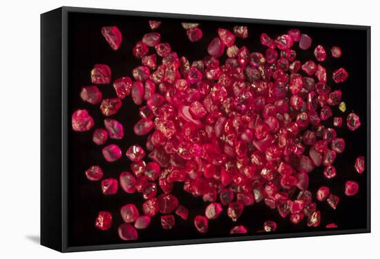 Rubies Panned From River Gravels-Vaughan Fleming-Framed Premier Image Canvas