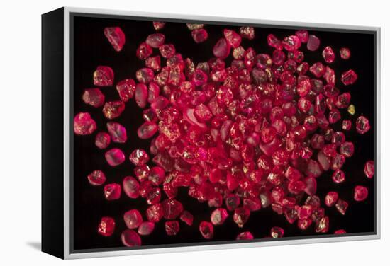 Rubies Panned From River Gravels-Vaughan Fleming-Framed Premier Image Canvas