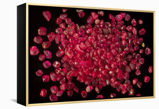 Rubies Panned From River Gravels-Vaughan Fleming-Framed Premier Image Canvas