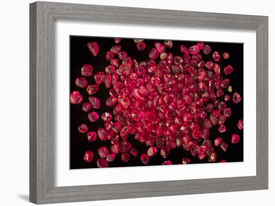 Rubies Panned From River Gravels-Vaughan Fleming-Framed Photographic Print