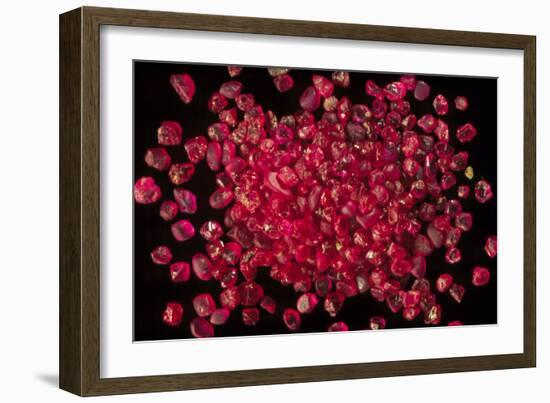 Rubies Panned From River Gravels-Vaughan Fleming-Framed Photographic Print