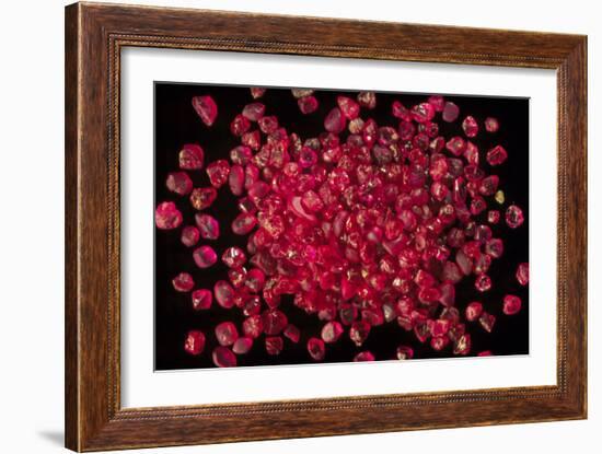 Rubies Panned From River Gravels-Vaughan Fleming-Framed Photographic Print