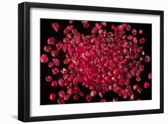 Rubies Panned From River Gravels-Vaughan Fleming-Framed Photographic Print