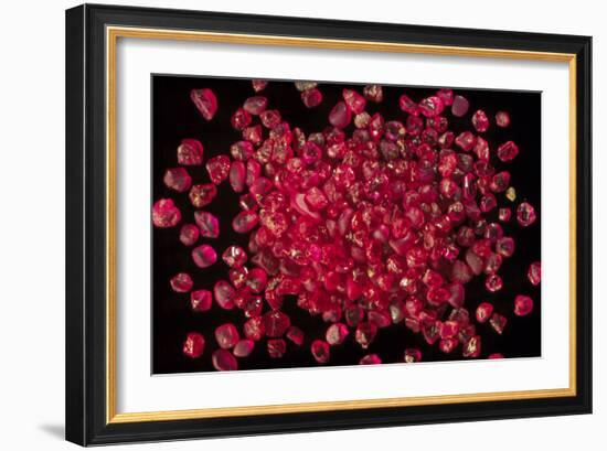 Rubies Panned From River Gravels-Vaughan Fleming-Framed Photographic Print