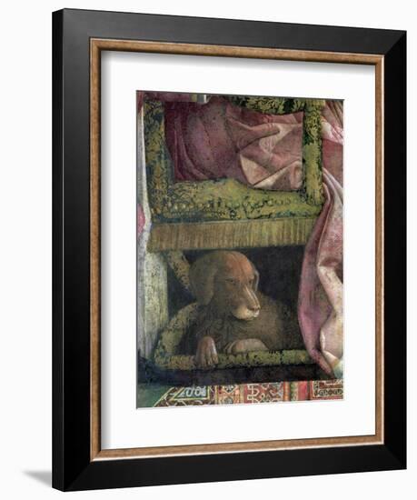 Rubino, Favourite Dog of Marchese Ludovico Gonzaga III of Mantua, Camera Picta, 1465-74-Andrea Mantegna-Framed Giclee Print