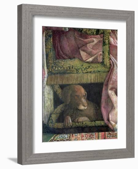 Rubino, Favourite Dog of Marchese Ludovico Gonzaga III of Mantua, Camera Picta, 1465-74-Andrea Mantegna-Framed Giclee Print