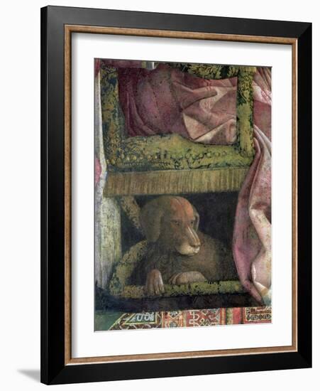 Rubino, Favourite Dog of Marchese Ludovico Gonzaga III of Mantua, Camera Picta, 1465-74-Andrea Mantegna-Framed Giclee Print