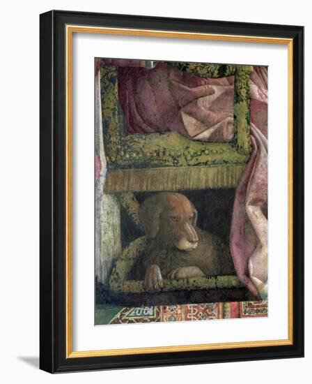 Rubino, Favourite Dog of Marchese Ludovico Gonzaga III of Mantua, Camera Picta, 1465-74-Andrea Mantegna-Framed Giclee Print