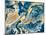 Rubrum Blue-Ajoya Grace-Mounted Art Print