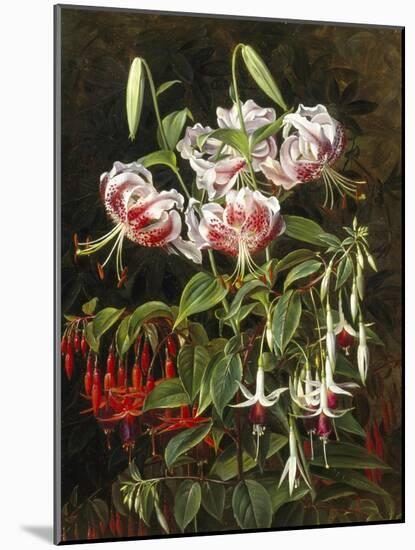 Rubrum Lilies and Fuchsias-Johan Laurentz Jensen-Mounted Giclee Print