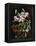 Rubrum Lilies and Fucshias-Johan Laurentz Jensen-Framed Premier Image Canvas