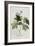 Rubus, 1744-Georg Dionysius Ehret-Framed Giclee Print