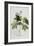 Rubus, 1744-Georg Dionysius Ehret-Framed Giclee Print