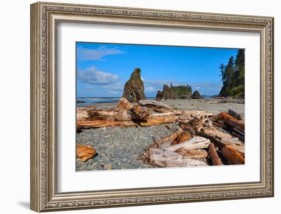 Ruby Beach at Olympic National Park, Washington, USA-null-Framed Art Print