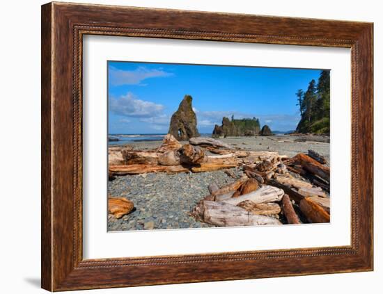 Ruby Beach at Olympic National Park, Washington, USA-null-Framed Art Print