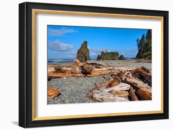 Ruby Beach at Olympic National Park, Washington, USA-null-Framed Art Print