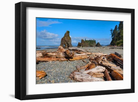 Ruby Beach at Olympic National Park, Washington, USA-null-Framed Art Print