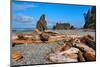 Ruby Beach at Olympic National Park, Washington, USA-null-Mounted Art Print