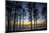 Ruby Beach, Forks, Washington State, USA. Olympic National Park-Jolly Sienda-Mounted Photographic Print