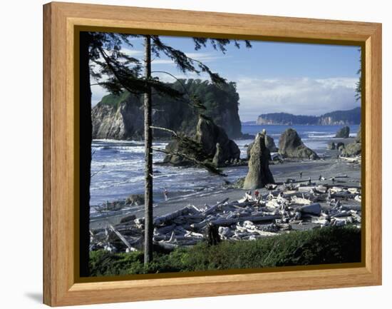 Ruby Beach, Olympic National Park, Washington, USA-William Sutton-Framed Premier Image Canvas