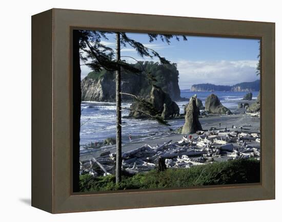 Ruby Beach, Olympic National Park, Washington, USA-William Sutton-Framed Premier Image Canvas