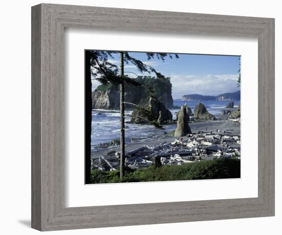 Ruby Beach, Olympic National Park, Washington, USA-William Sutton-Framed Photographic Print