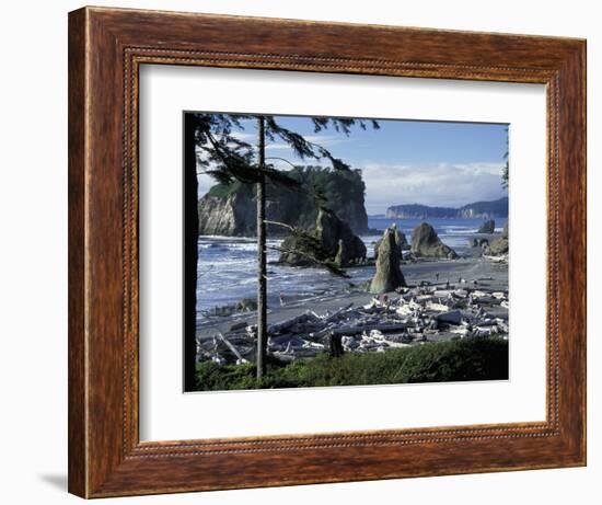 Ruby Beach, Olympic National Park, Washington, USA-William Sutton-Framed Photographic Print