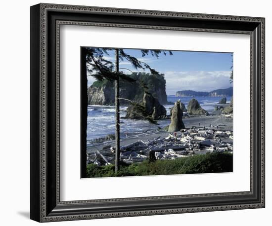 Ruby Beach, Olympic National Park, Washington, USA-William Sutton-Framed Photographic Print