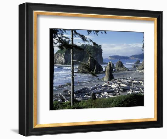 Ruby Beach, Olympic National Park, Washington, USA-William Sutton-Framed Photographic Print